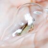 Cocoon No. 20 - Image 2