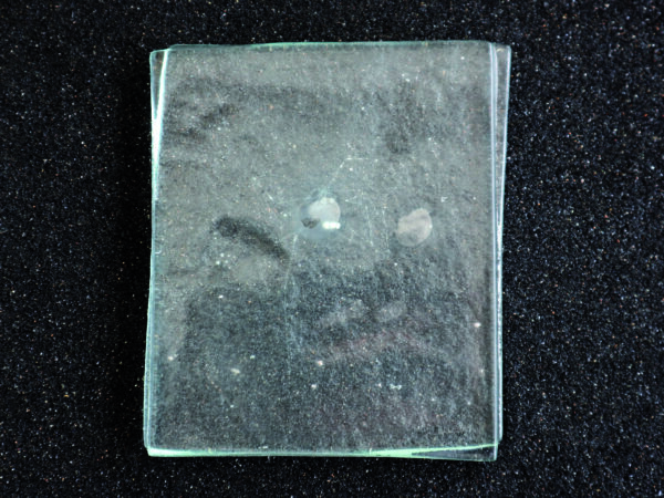 Future Fossils