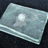 Future Fossils