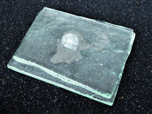 Future Fossils