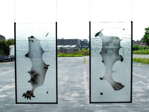 Future Fossils (left panel)