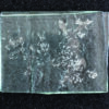 Future Fossils