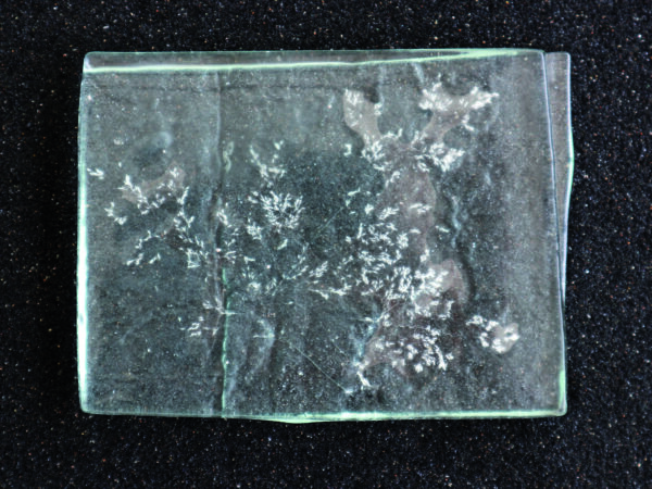 Future Fossils