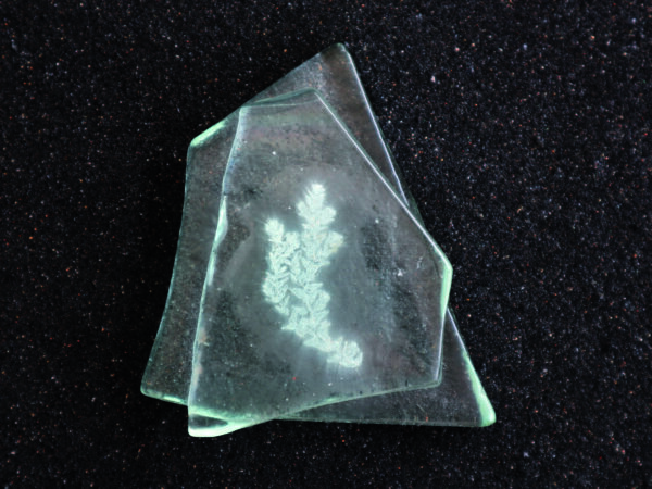 Future Fossils