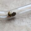 Cocoon No. 48 - Image 5