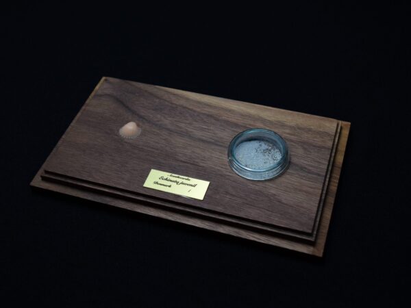 A Life Without Form (No.4)