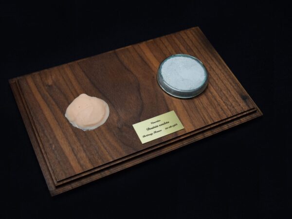 A Life Without Form (No.5)