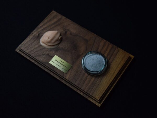 A Life Without Form (No.14)