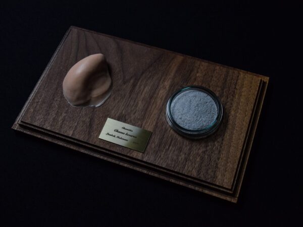 A Life Without Form (No.15)