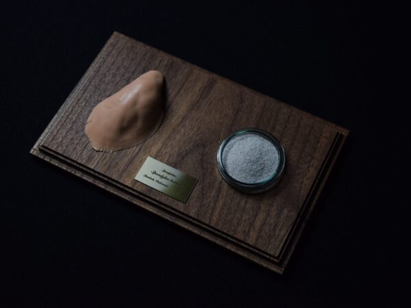 A Life Without Form (No.16)