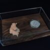 A Life Without Form (No.18) - Image 4