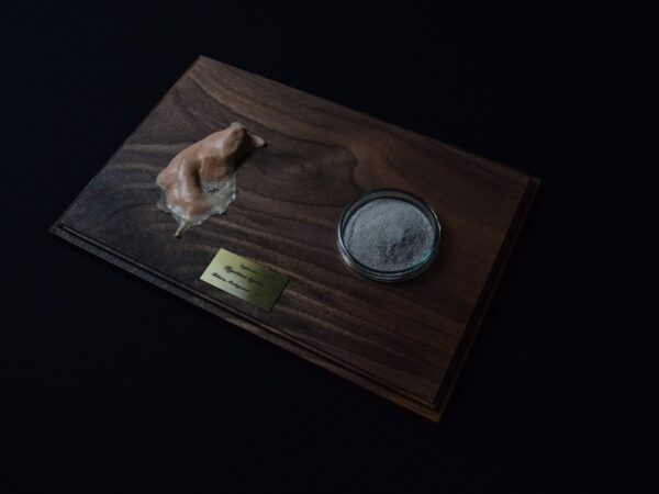 A Life Without Form (No.18)