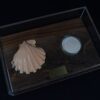 A Life Without Form (No.19) - Image 3