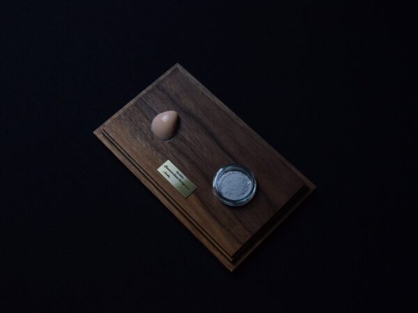 A Life Without Form (No.23)