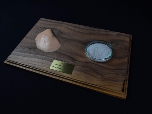 A Life Without Form (No.28)