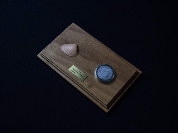 A Life Without Form (No.29)