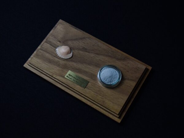 A Life Without Form (No.30)