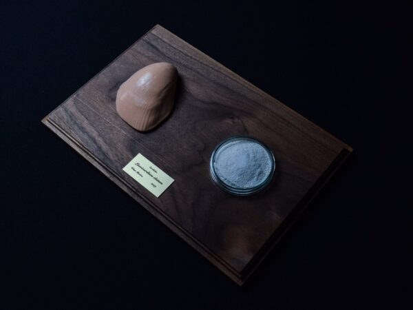 A Life Without Form (No.31)