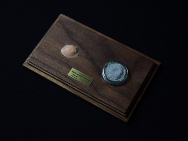 A Life Without Form (No.33)