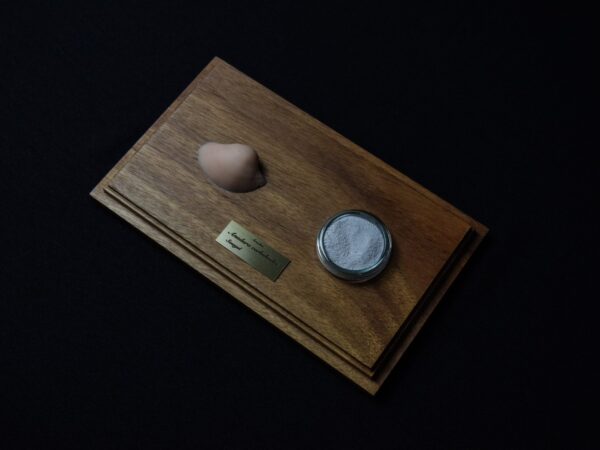 A Life Without Form (No.34)