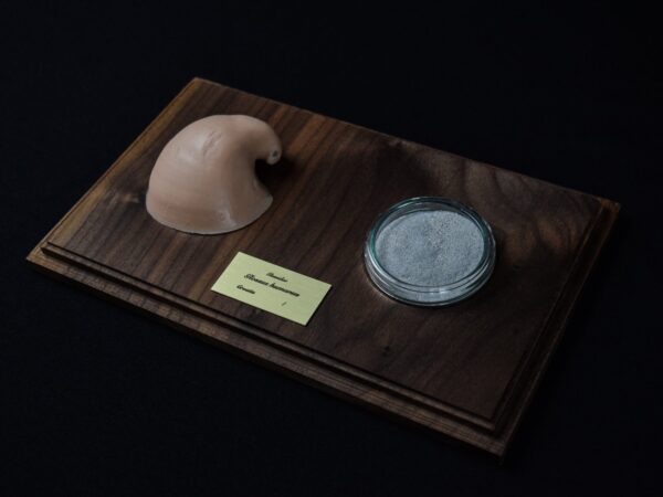 A Life Without Form (No.35)