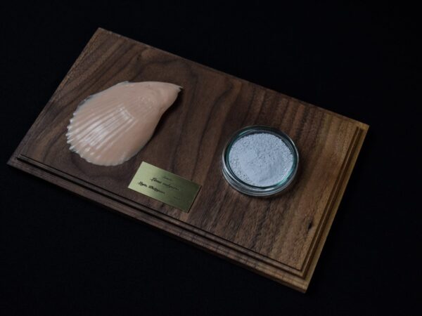 A Life Without Form (No.36)