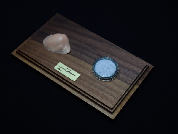 A Life Without Form (No.2)