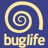 Buglife Buglife